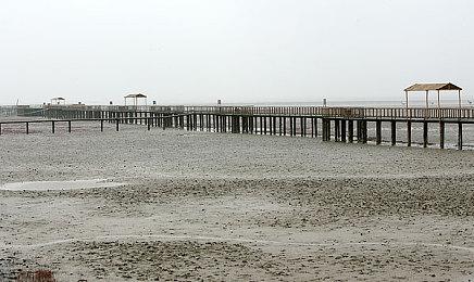 《方块方舟》限时2.5折史低活动开启，仅29元即可启程方块世界